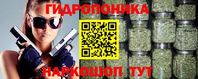 СК Гагарин