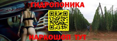 СК Гагарин