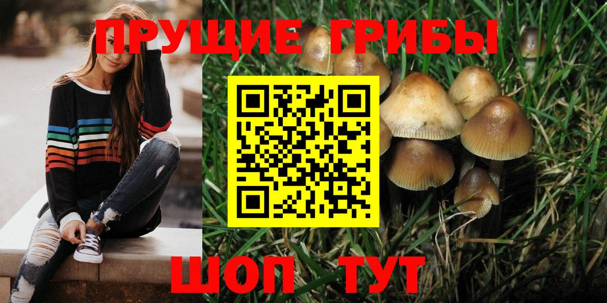 Галлюциногенные грибы MAGIC MUSHROOMS Мариинск
