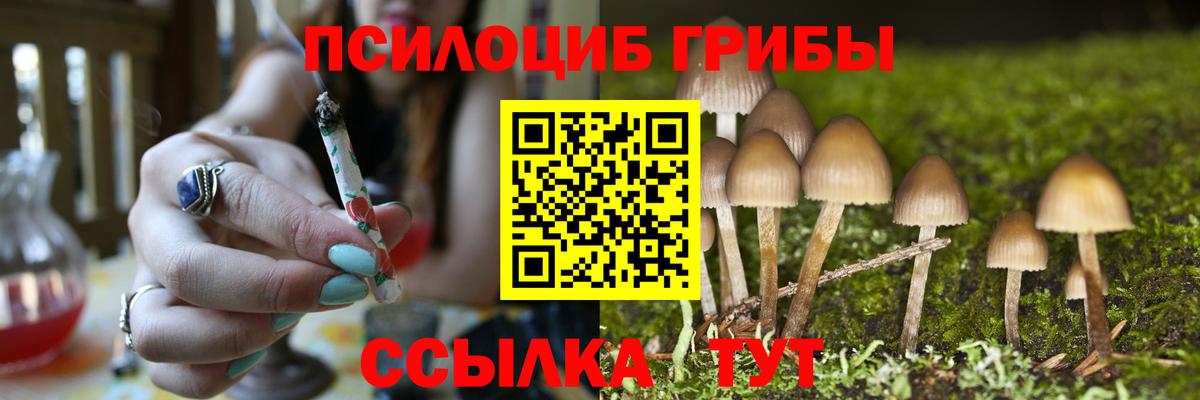Псилоцибиновые грибы Psilocybe  Вход с VPN  Мариинск  Псилоцибиновые грибы ЛСД 